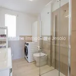 Salis * לידו די ג'סולו